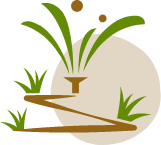 水生植物区